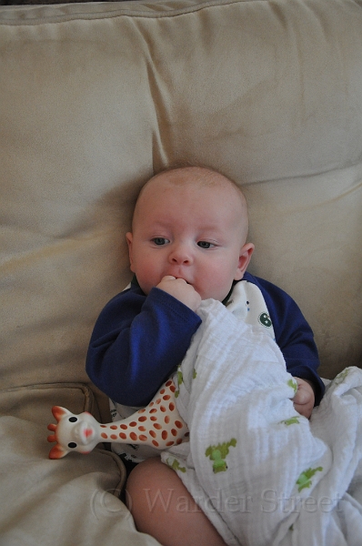 William's Fourteenth Week 06.jpg